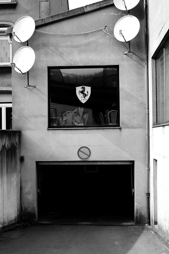 Club of the Italian youth, 2008