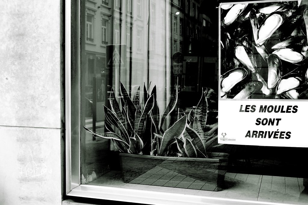 Luxembourg, 2006